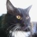 Profile Picture of Ruthie Keith Troyer (@ruthie.troyer.5) on Facebook