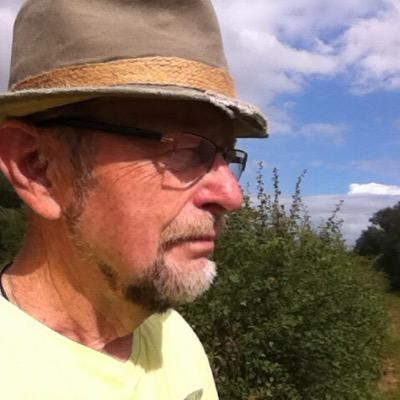 Profile Picture of Herbert Brunner (@herbyxyz) on Twitter