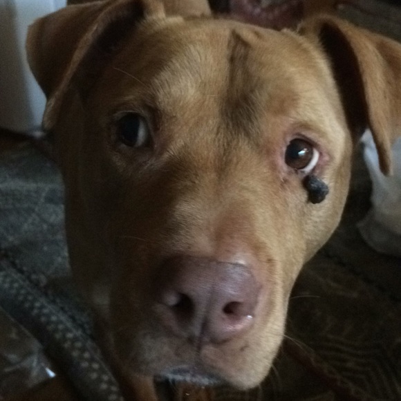 Profile Picture of Reeta Tollefson (@rioreeta) on Poshmark