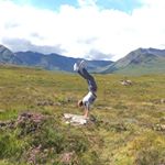 Profile Picture of Josh (@josh_bartels) on Instagram