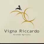 Profile Picture of Vigna Riccardo wine (@vigna.riccardo) on Instagram