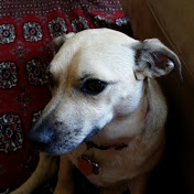 Profile Picture of Mark Martinez (@markmartinez3544) on Youtube