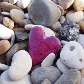 Profile Picture of Kate Reardon Hutchens (@hutch76) on Pinterest