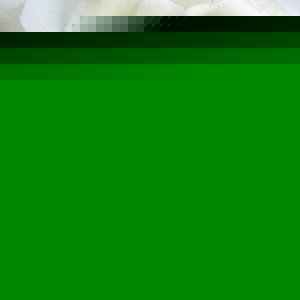 Profile Picture of Tia Jay (@misstoothick83) on Myspace