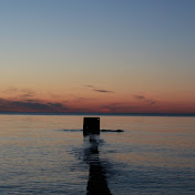 Profile Picture of Reasonover (@reasonover9100) on Youtube