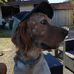 Profile Picture of Jerome Hertzog (@jerome.hertzog.5) on Facebook