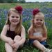Profile Picture of Stacy Clack Martin (@sclackmartin) on Pinterest