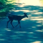 Caryl Moore - Instagram Profile Picture of Caryl Moore (@carylmoore21) on Instagram