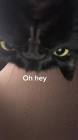 Profile Picture of   More Edgar content... (@secrestl.02) on Tiktok