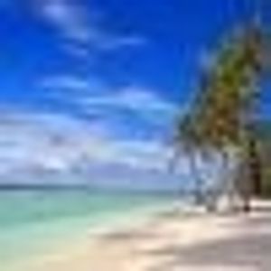 Profile Picture of Lynn Richman (@354931086) on Myspace