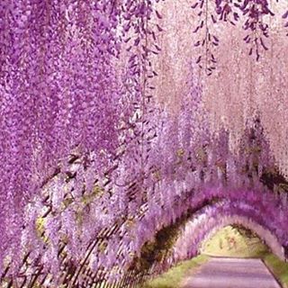 Profile Picture of Ailene Roberts (@ailene.roberts.16) on Facebook