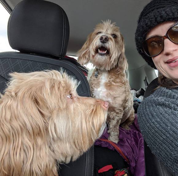 Profile Picture of Laurel Purdum (@laurelpurdum) on Poshmark