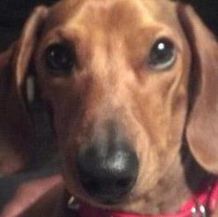 Profile Picture of John Danielson (@john.danielson.5) on Facebook