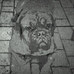 Profile Picture of Brian Umphrey (@bigdogcontracting) on Instagram