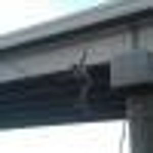 Profile Picture of Tracy Ridlinghafer (@137926893) on Myspace