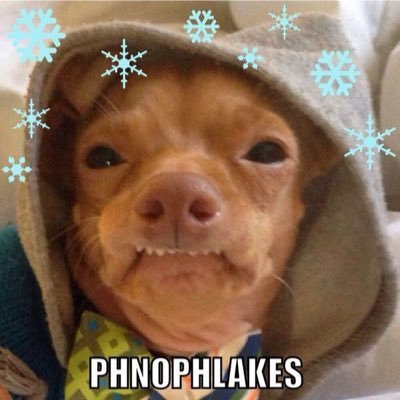 Profile Picture of Ethan Dunbar (@EthanDunbarpp) on Twitter