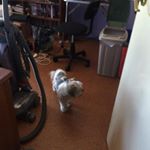 Profile Picture of janet storey (@jstorey9) on Instagram