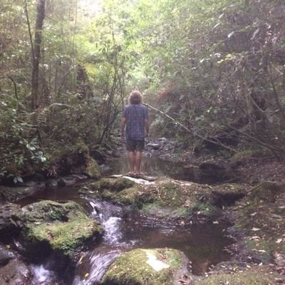 Profile Picture of Robin Scheer (@scheer_robin) on Twitter