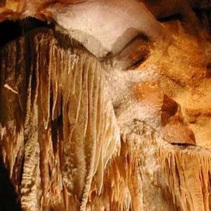 Profile Picture of Tobias Henkel (@ozlott558310038) on Myspace