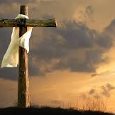 Profile Picture of Trace Cole (@TraceCole3) on Twitter