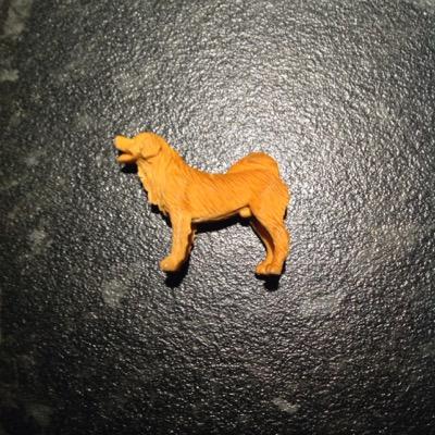 Profile Picture of Matt Scoles (@scolesy11) on Twitter