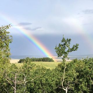 Profile Picture of Stephen Braun (@Stephen-Braun) on Facebook