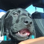 Profile Picture of spam (@jennellespam_) on Instagram