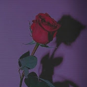 Profile Picture of Marilyn Tran (@marilyntran6899) on Youtube