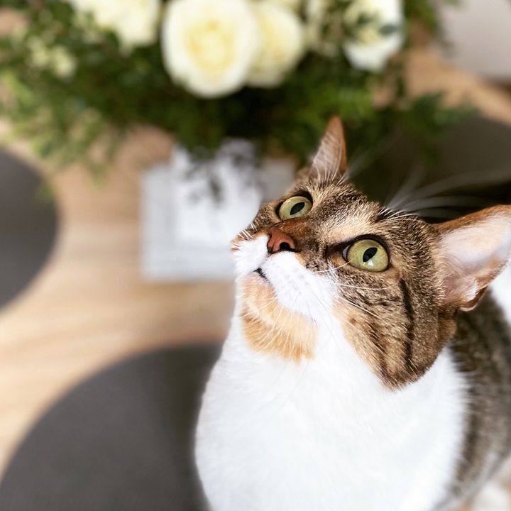 Profile Picture of Eleanor Abernaty (@eleanorabernaty) on Tiktok