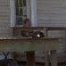Profile Picture of David Showalter Sr (@david.showaltersr) on Facebook