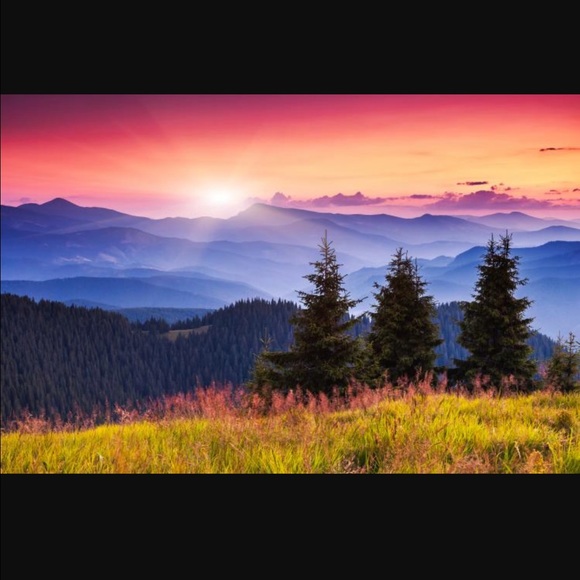 Profile Picture of Shawn Streyle (@sdstreyle) on Poshmark