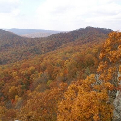 Profile Picture of Cliff Marshall (@36corndog) on Twitter