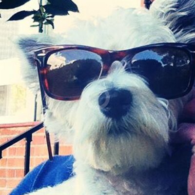 Profile Picture of Robert Comins (@CominsRobert) on Twitter