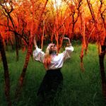 Profile Picture of Lora Lee (@pettitpower) on Instagram