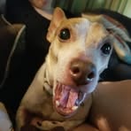Profile Picture of Sheldon Schroeder (@sheldon.schroeder.73) on Facebook