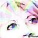 Profile Picture of Bonnie Atkinson (@bonkerbon) on Pinterest