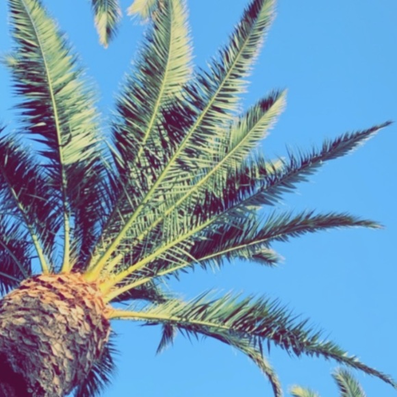 Profile Picture of Jess Alvarez (@jessalvarez685) on Poshmark