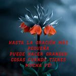 Profile Picture of julia_sotomayor_caldas (@julia_sotomayor_caldas) on Instagram