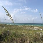 Profile Picture of Fran Brooks (@fmbrooks73) on Instagram