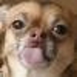 Denise Campbell - Myspace Profile Picture of Denise Campbell (@393927297) on Myspace