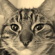 Profile Picture of Robert “Szkieletor” Skwarczynski (@robertskwarczynski1261) on Youtube