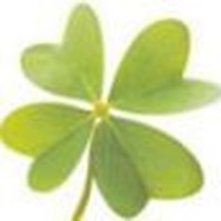 Profile Picture of Lisa Garrett (@lisa-garrett-12) on Quora