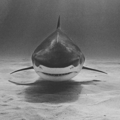 Profile Picture of ORTZ (@JasonOrtlip) on Twitter