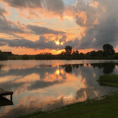 Profile Picture of Pamela Ivey (@PamelaIvey10) on Twitter