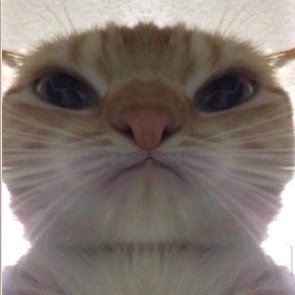 Profile Picture of Ray Otwell (@otwellray) on Poshmark