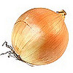 Profile Picture of Onion Bag (@the onion bag) on Flickr