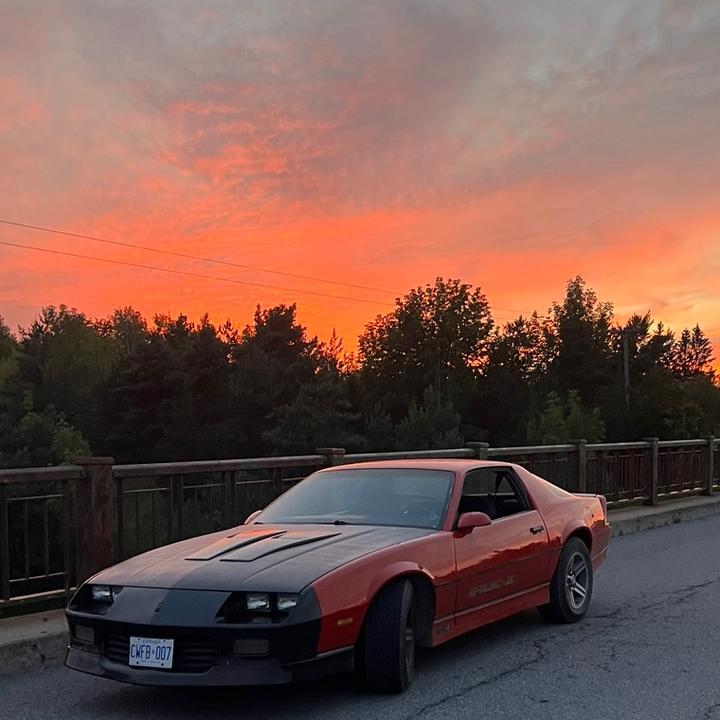 Profile Picture of Josh (@joshbriscoe_) on Tiktok