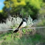 Profile Picture of Ron Blake (@Ron-Blake) on Facebook