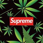 Profile Picture of daniel daddona (@daddona.daniel) on Instagram