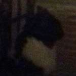 Profile Picture of peter honeyman (@peterhoneyman78) on Instagram